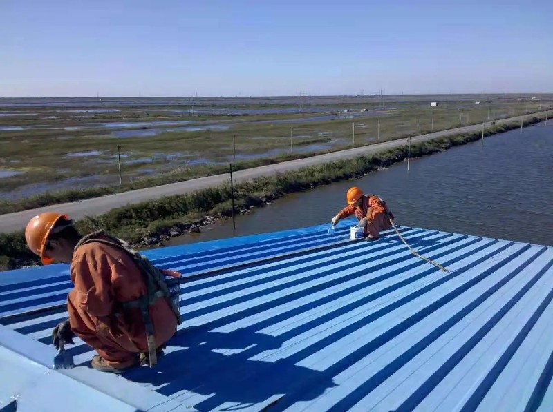 新县彩钢瓦屋面防腐翻新